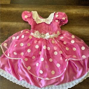 Disney Pink Minnie Mouse Costume